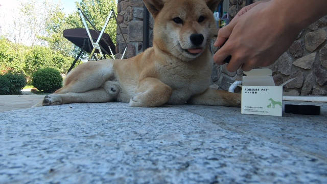 悠闲午后的足底按摩时间到啦...
